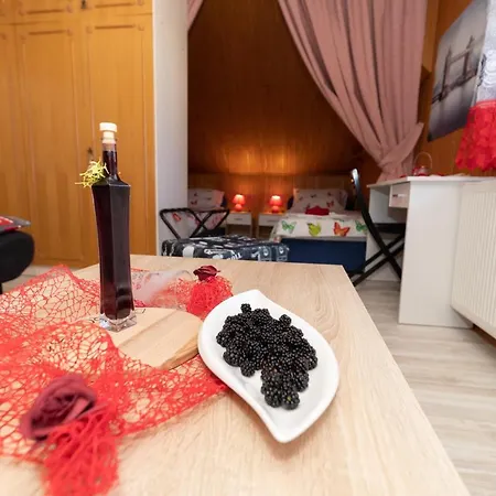Poljancic Apartment